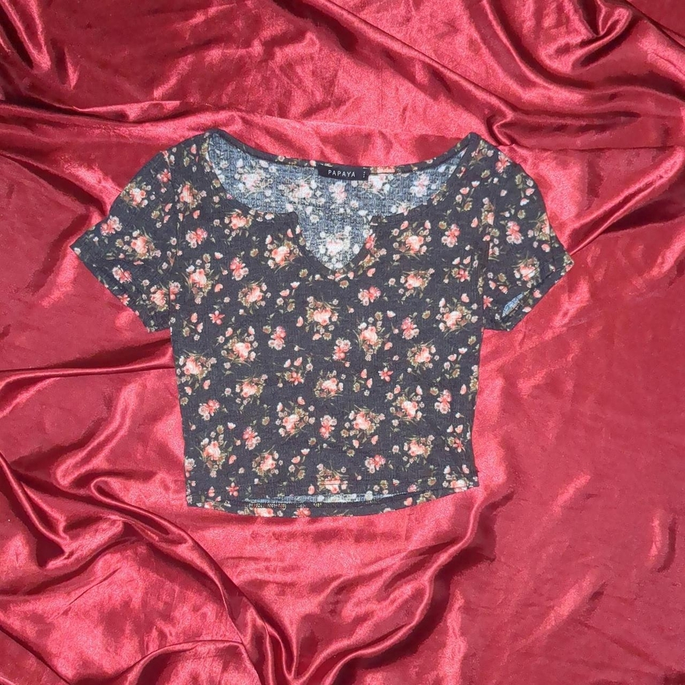 Papaya Blue Gray Fitted Crop Blouse